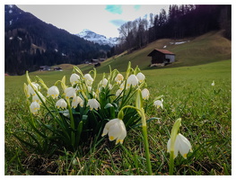 April 2025 - Lenk (CH)