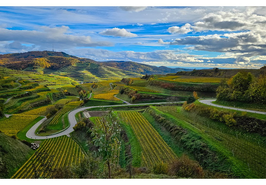 Bild des aktuellen Monats