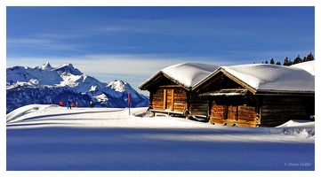 Februar 2021 - Skigebiet Hasliberg (CH)