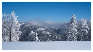 Januar 2021 - Skitour Tunau (D)