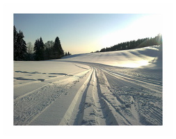Februar 2025 - Gersbach (D)