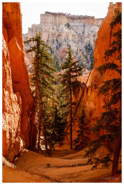 171113-325_Bryce-Canyon.JPG